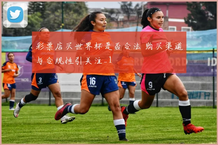 彩票店买世界杯是否合法 购买渠道与合规性引关注_1