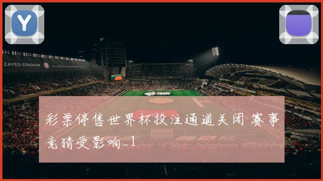 彩票停售世界杯投注通道关闭 赛事竞猜受影响_1