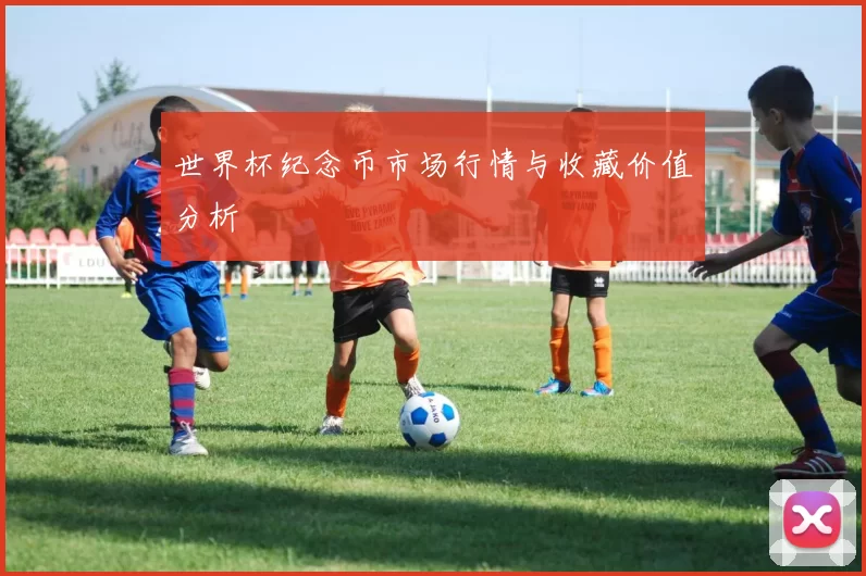 世界杯纪念币市场行情与收藏价值分析