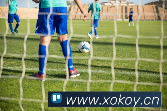 九游·官方版web站入口 - Jiuyou j9(中国)服务体系